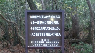 DSC_0171.jpg